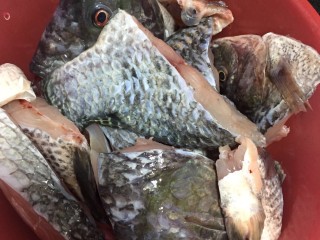 清蒸鱼（时间煮雨） 